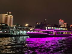 -武汉关码头(轮渡站)