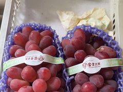 -马陆小张葡萄园农家乐