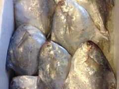 iphone_upload_pic-台州卡金海鲜楼(上南路店)