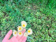 -兰亭风景区