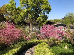 -南汇桃花村