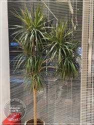 -MMbyHairCode 芭曲发型沙龙