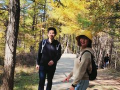 -苏木山森林公园