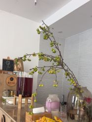 -伽玥瑜伽·普拉提馆