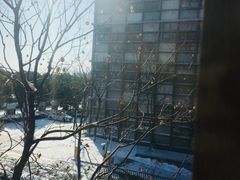 -东园小馆·早茶·淮扬小炒(水街店)