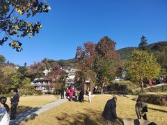 -塔川景区