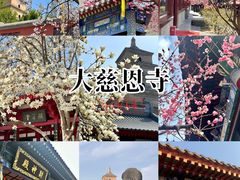 -大慈恩寺(大雁塔)