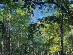 -洛阳白云山景区