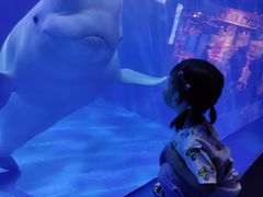 -多彩贵州城极地海洋世界