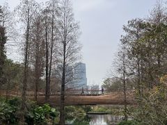 -云溪植物园