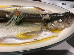 招牌鸡油蒸白丝鱼-同庆楼(金宝汇店)