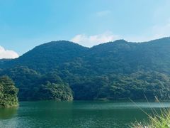 -广州市石门国家森林公园