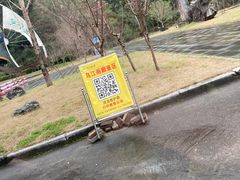 -乌江画廊(彭水苗族土家族自治县)