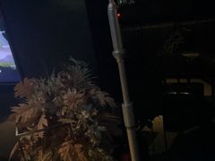 -黑桃K生日订制KTV