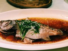 iphone_upload_pic-金泽大酒店·卢塞恩餐厅·年夜饭春节连市