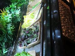 -韩风源自助烤肉(国贸精品店)