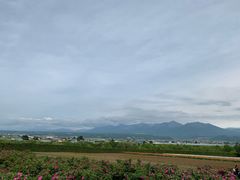 -富田农场