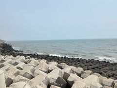 -东堤公园