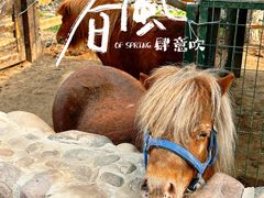 -静之湖度假区