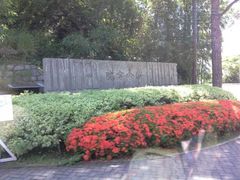 -大埔公路-马料水段香港中文大学(公交站)