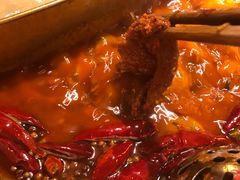-小龙坎火锅(东汇城店)