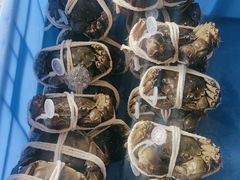 -阳澄湖大闸蟹·琼灵阁牌品牌连锁(吴中总店)