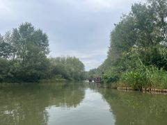 -溱湖国家湿地公园