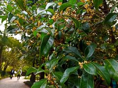 -共青国家森林公园-售票处