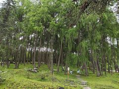 -硗碛藏寨·神木垒景区
