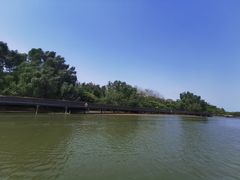 -东寨港红树林旅游区