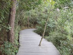 -天目湖山水园