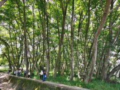 -西溪南古村落