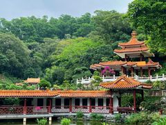 -深圳仙湖植物园