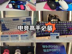-网鱼电竞(广州百脑汇店)