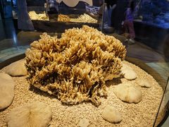 -天津自然博物馆