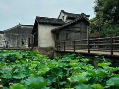 -乌镇西栅景区