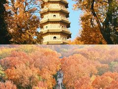 -灵谷景区