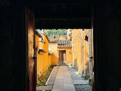 -杨家堂村