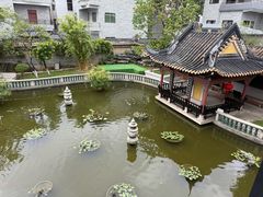 -碧江金楼