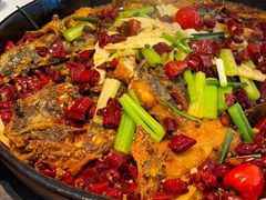 -老板恋上鱼(印象城店)