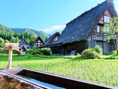 -白川乡与五箇山的合掌构造村落