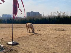 -汉长安城未央宫国家考古遗址公园