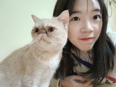 -Meowの猫咖(万家丽店)