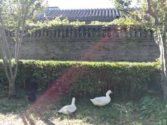 -Tubestation站点比萨(五道营店)