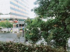 -Peet's Coffee皮爷咖啡(大学路店)