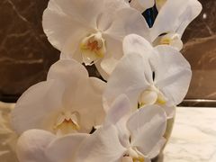 -深圳四季酒店·馥自助餐厅