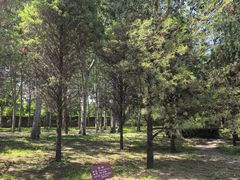 -森林公园(尖草坪区)
