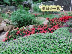 -青青世界