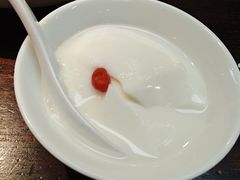 杏仁豆腐-陈麻婆豆腐(旗舰店)