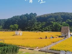 -句容茅山景区